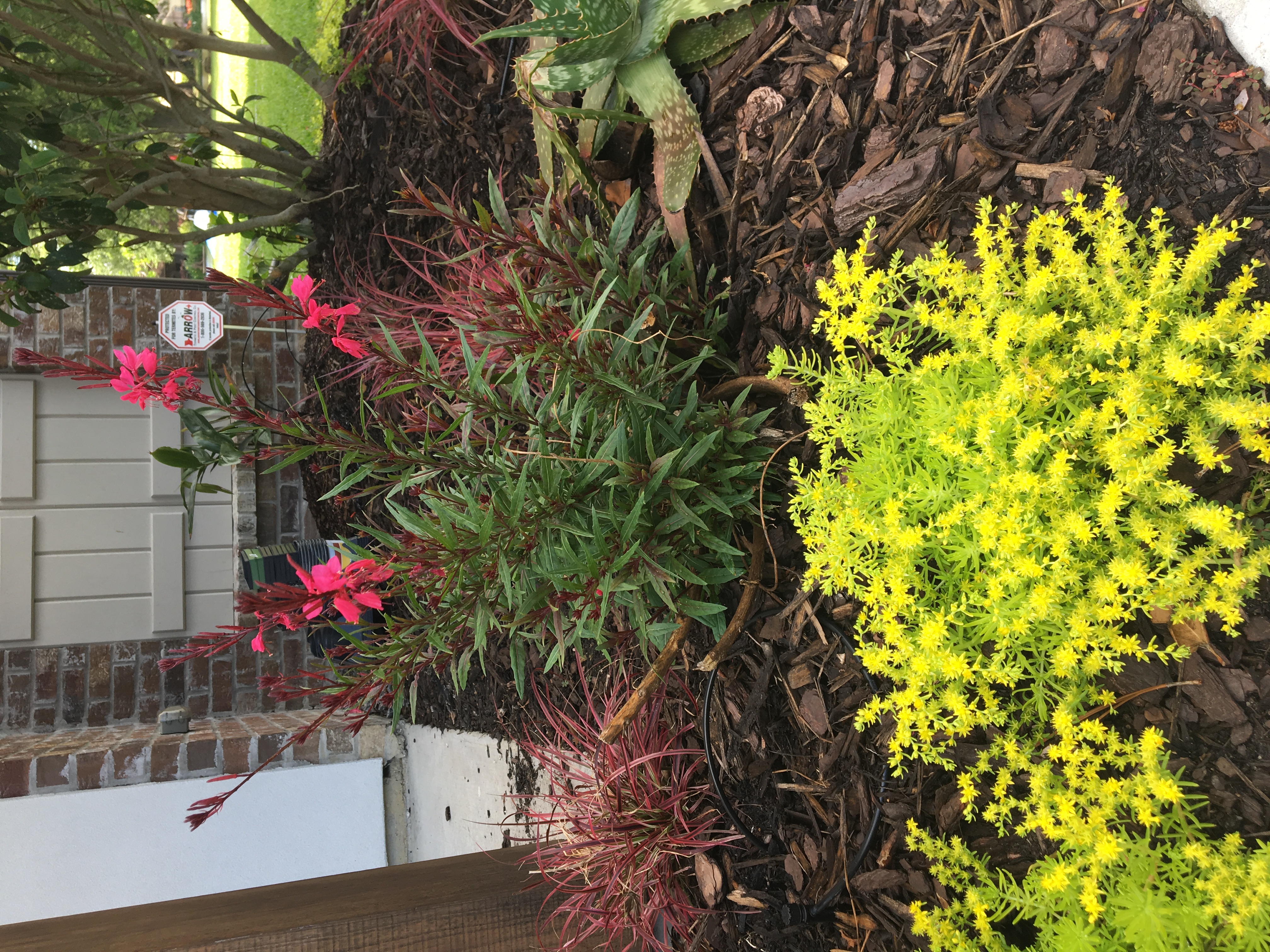 July is Smart Irrigation Month 